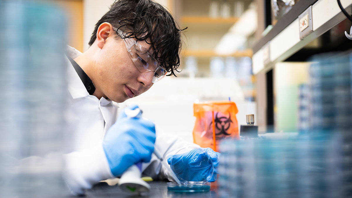 Scientist wearing lab coat, blue rubber gloves and safety goggles drips liquid from a pipette into a petri dish.