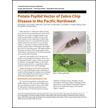 Potato Psyllid Vector of Zebra Chip Disease in the Pacific Northwest