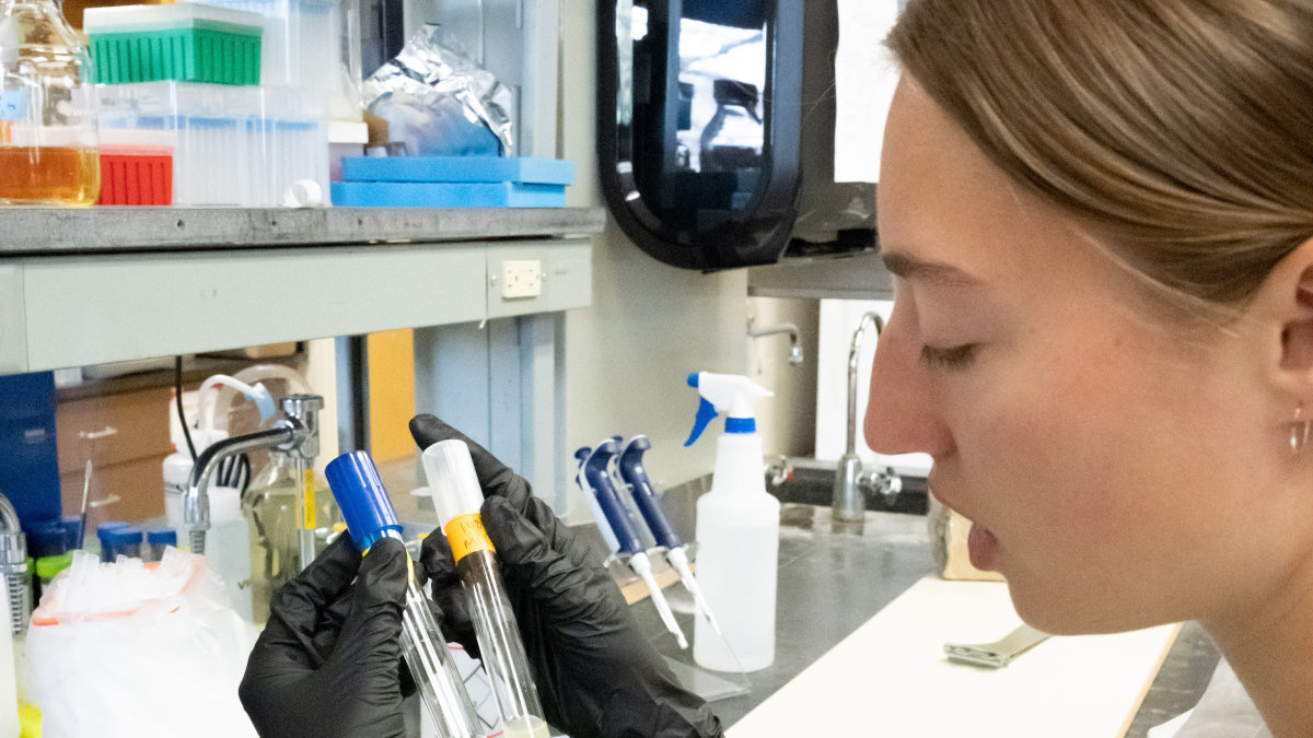 Woman wearing lab coat examines test tubes.