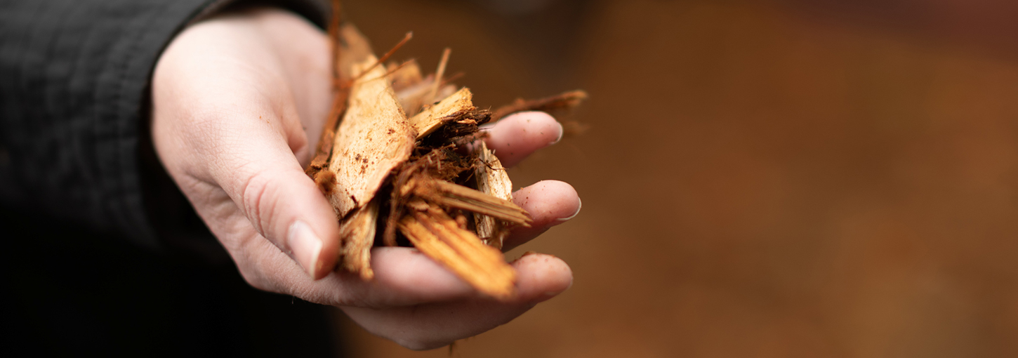 Biomass used to power the District Energy Plant 